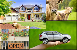 Restaurants, Office Buildings, Contractors, Apartment Buildings, Condominium Commercial, Motels, Processing and Service Risks, Convenient Fo